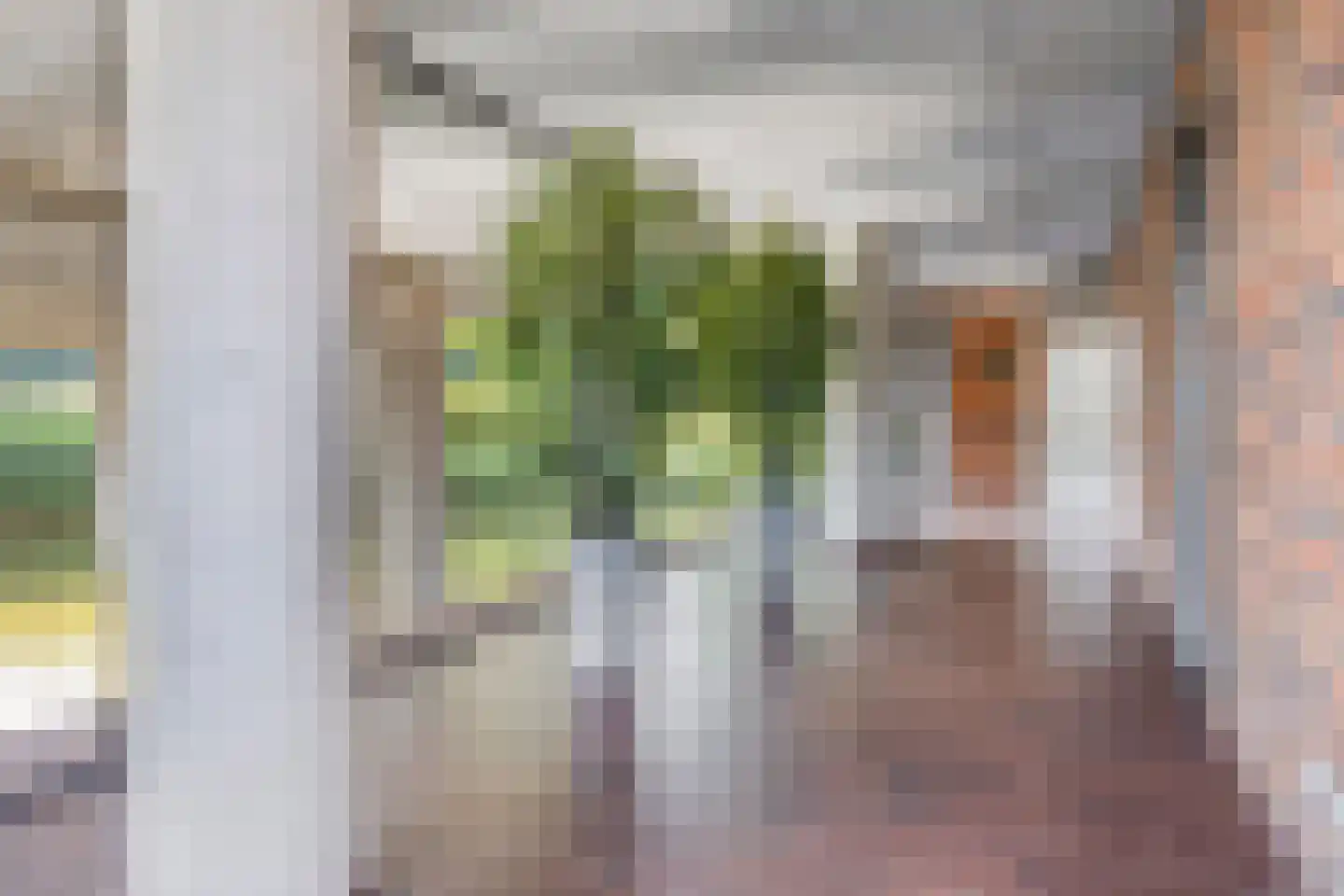 Van Maanenstraat 63 Schiedam thumbnail 39