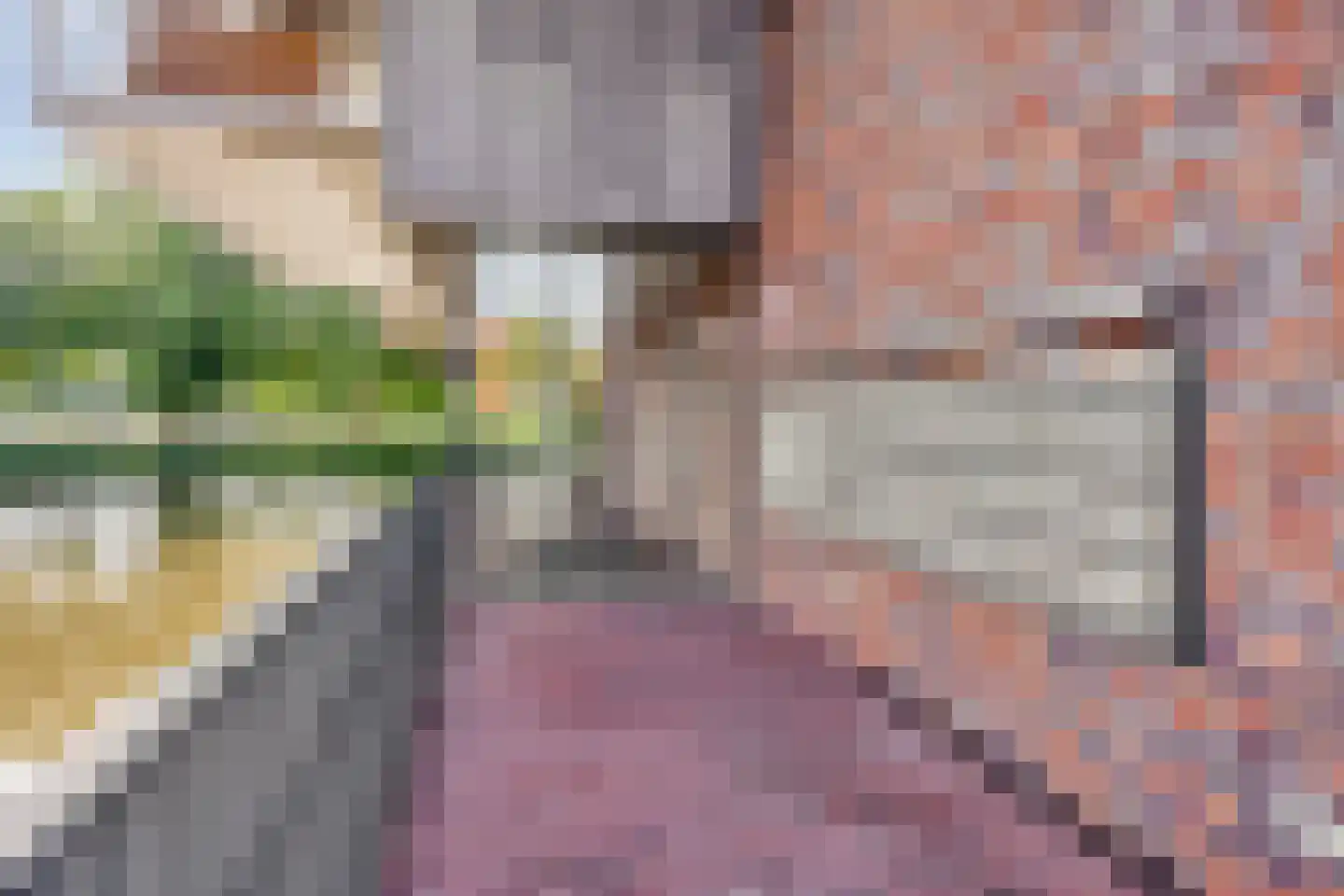Van Maanenstraat 63 Schiedam thumbnail 40