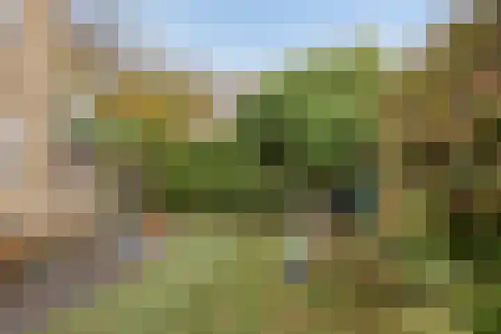 Van Maanenstraat 78 Oss thumbnail 14