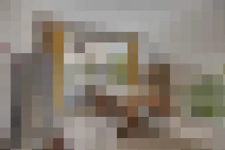 Van Maanenstraat 78 Oss thumbnail 4