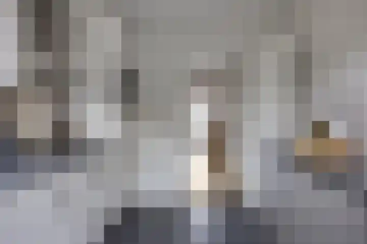 Van Maanenstraat 78 Oss thumbnail 5