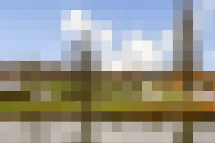 van Maanenstraat 80 Vlaardingen thumbnail 10