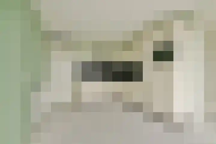 van Maanenstraat 84 Vlaardingen thumbnail 14