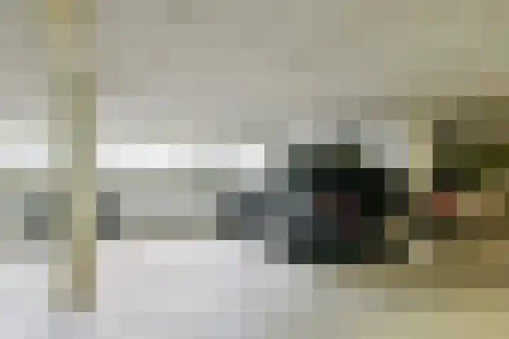 van Maanenstraat 84 Vlaardingen thumbnail 27