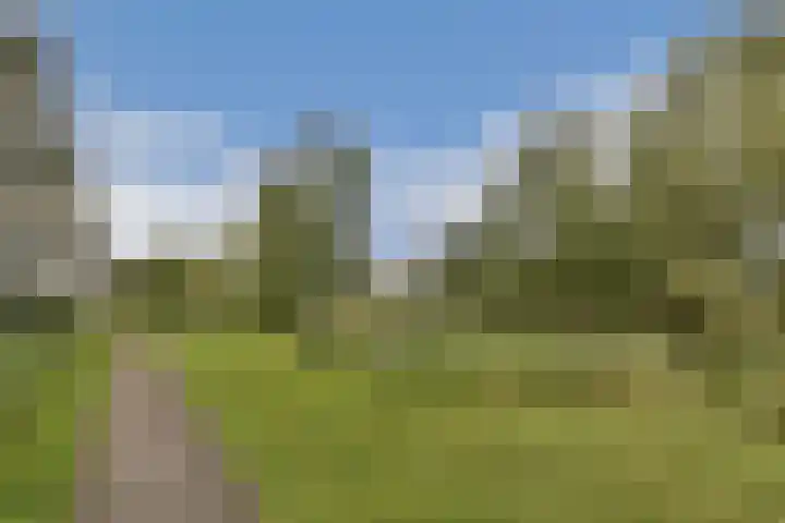 van Maanenstraat 84 Vlaardingen thumbnail 31