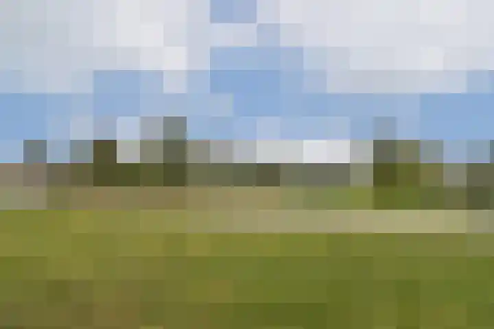 van Maanenstraat 84 Vlaardingen thumbnail 33