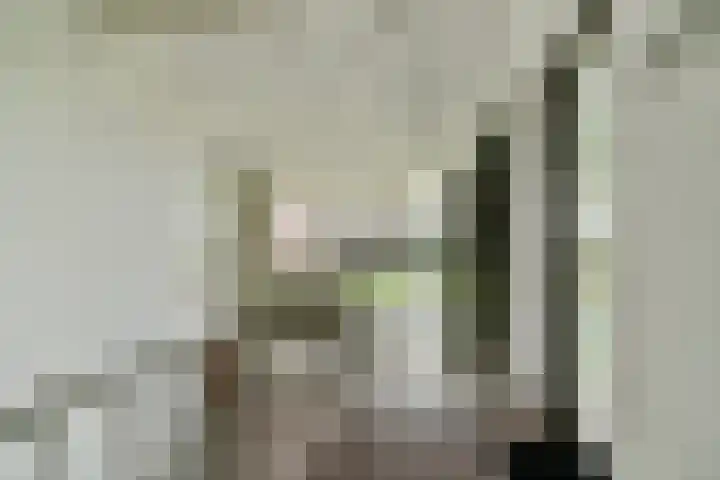 van Maanenstraat 84 Vlaardingen thumbnail 6
