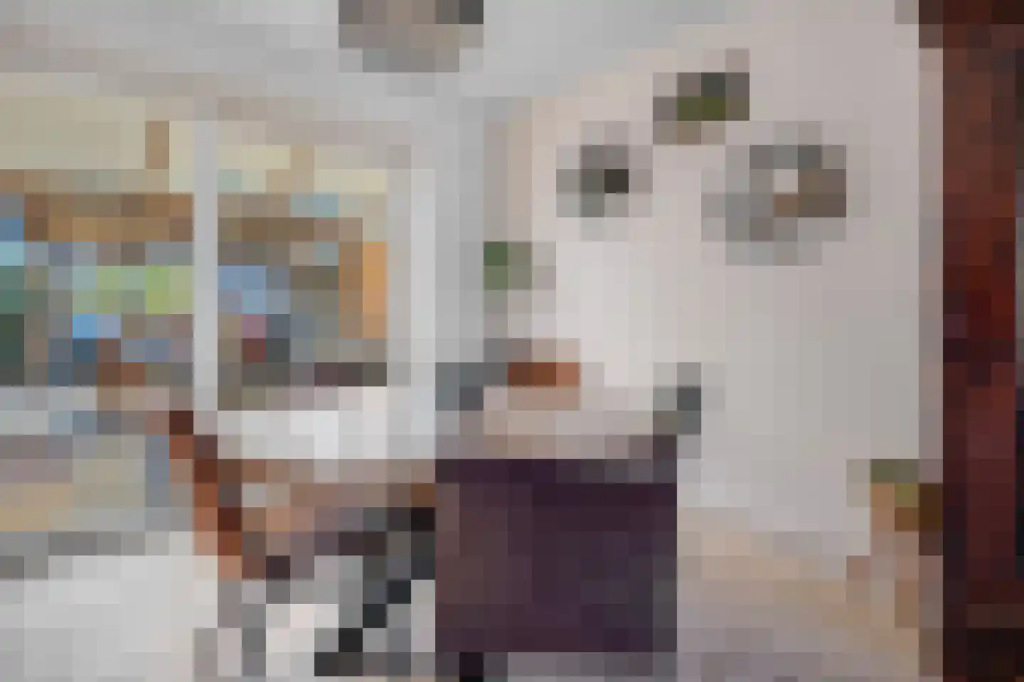Van Maanenstraat 88 Oss thumbnail 11