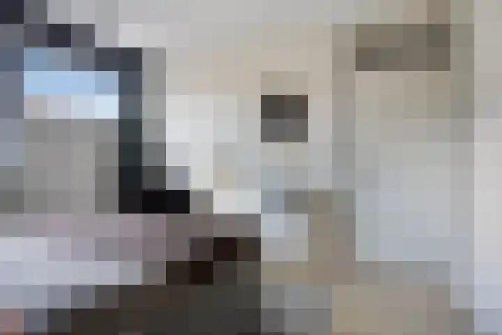 Van Maanenstraat 88 Oss thumbnail 23