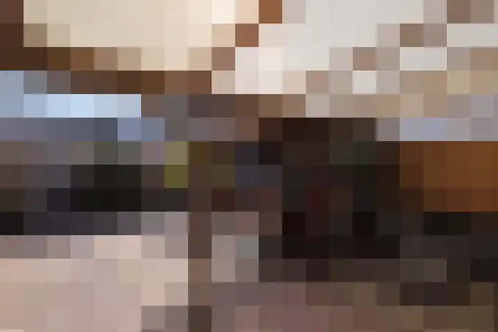 Van Maanenstraat 88 Oss thumbnail 35