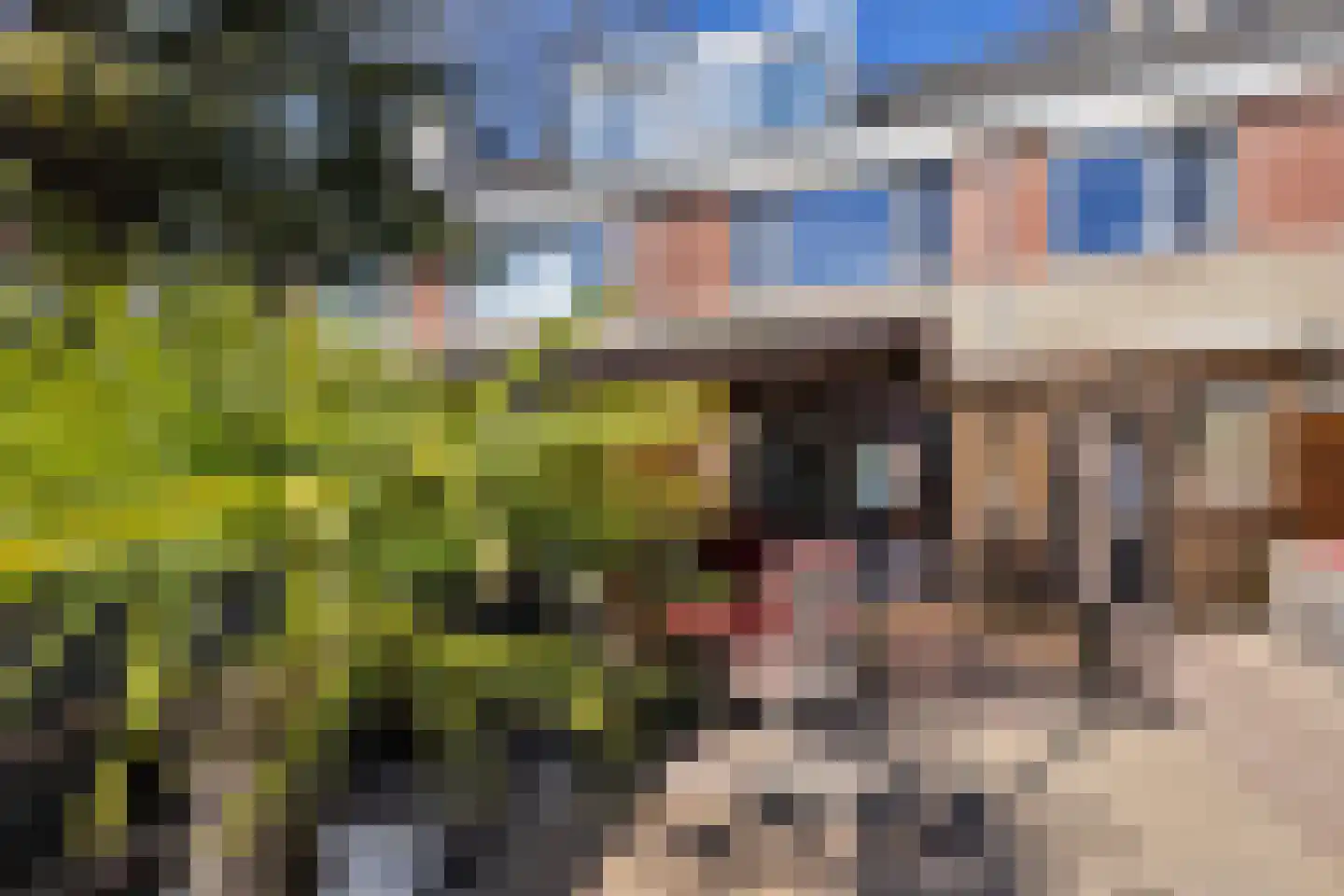 Van Maanenstraat 88 Oss thumbnail 38