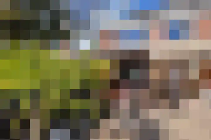 Van Maanenstraat 88 Oss thumbnail 38