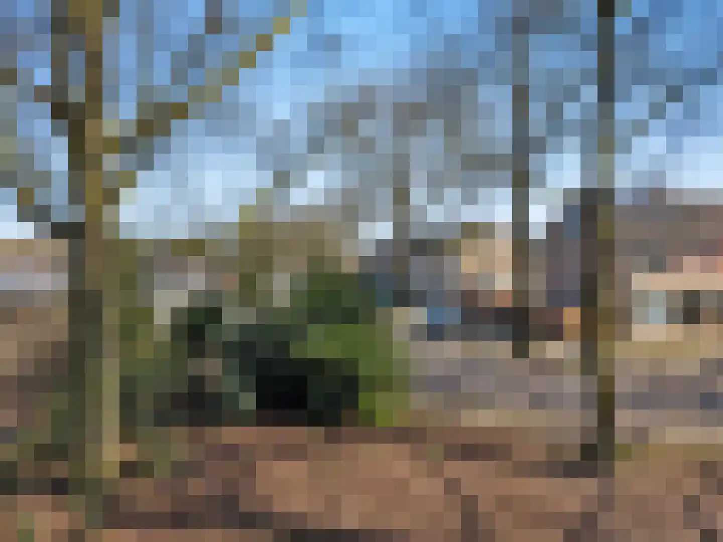 Van Maanenstraat 88 Oss thumbnail 51