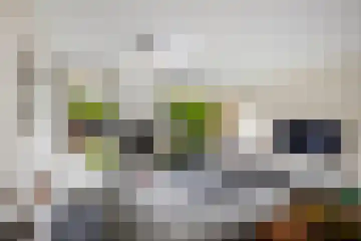 Van Maanenstraat 88 Oss thumbnail 6