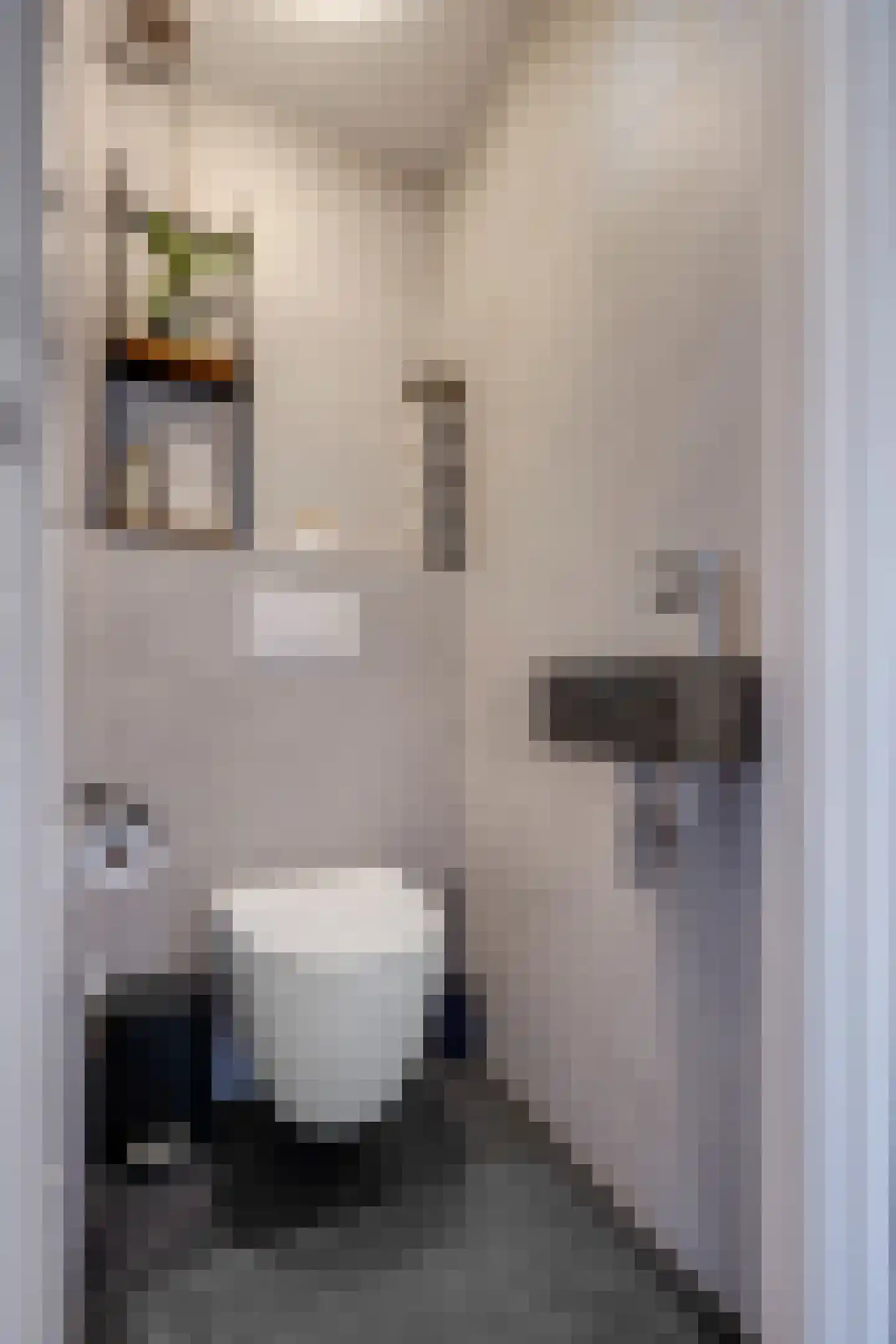 Van Maanenstraat 88 Oss thumbnail 8