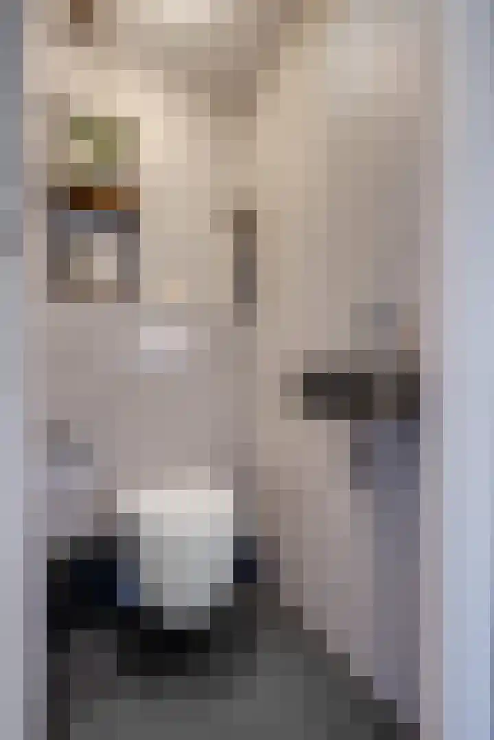 Van Maanenstraat 88 Oss thumbnail 8
