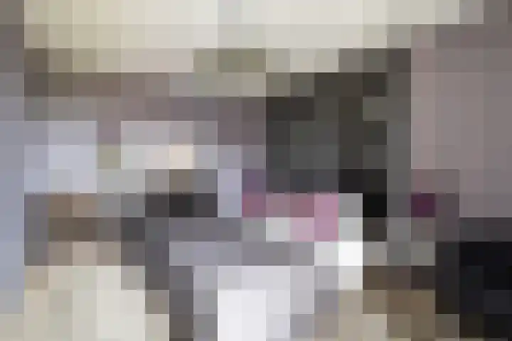 van Maanenstraat 94 Vlaardingen thumbnail 4