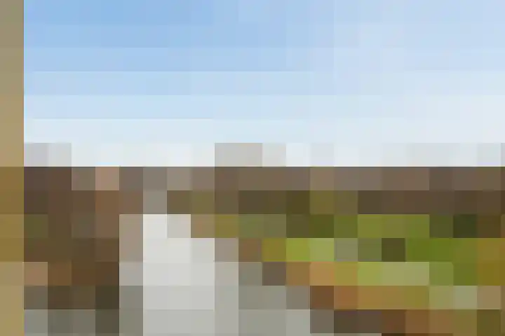 van Maanenstraat 94 Vlaardingen thumbnail 40