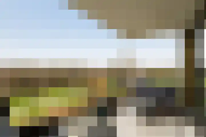van Maanenstraat 94 Vlaardingen thumbnail 5