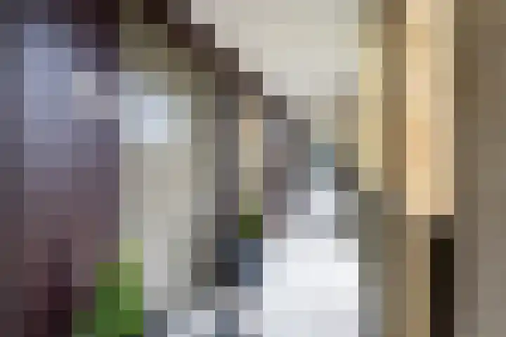 van Maanenstraat 94 Vlaardingen thumbnail 8