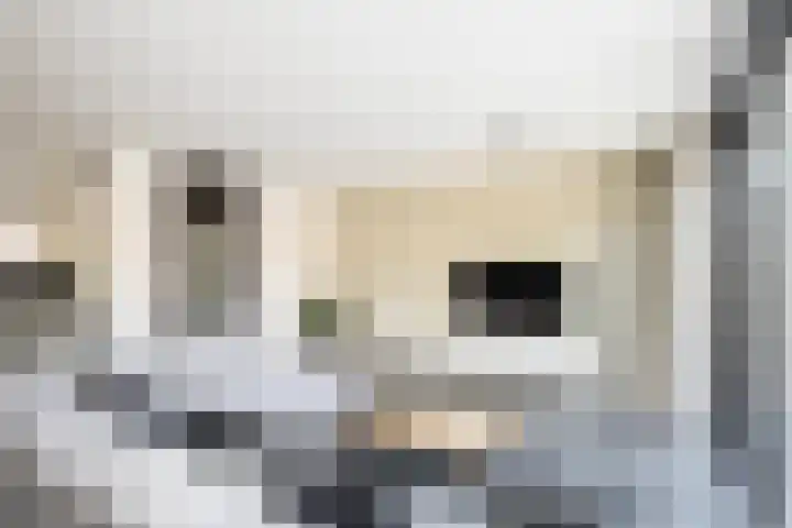 Van Maanenware 26 Zwolle thumbnail 10