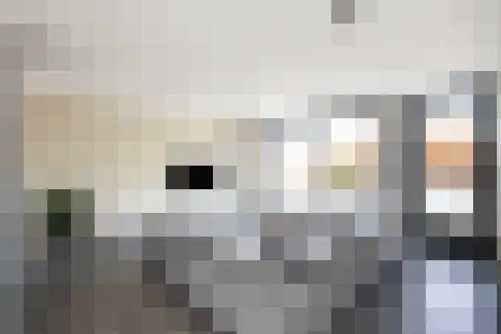Van Maanenware 26 Zwolle thumbnail 11