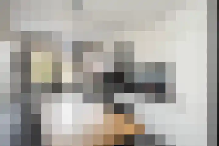 Van Maanenware 26 Zwolle thumbnail 12