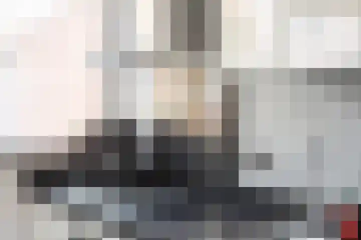 Van Maanenware 26 Zwolle thumbnail 15