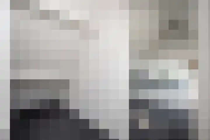 Van Maanenware 26 Zwolle thumbnail 22