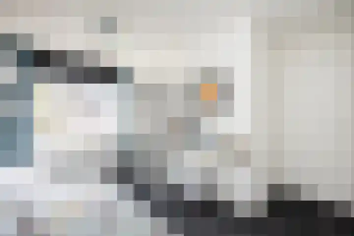 Van Maanenware 26 Zwolle thumbnail 25