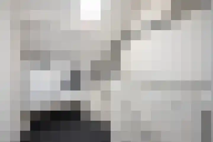 Van Maanenware 26 Zwolle thumbnail 26