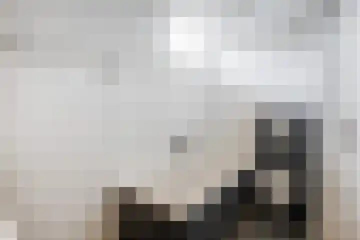 Van Maanenware 26 Zwolle thumbnail 28