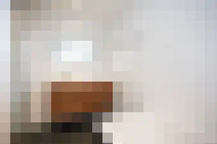 Van Maanenware 26 Zwolle thumbnail 30