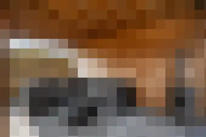 Van Maanenware 26 Zwolle thumbnail 34