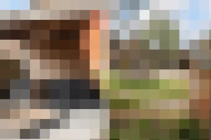 Van Maanenware 26 Zwolle thumbnail 36
