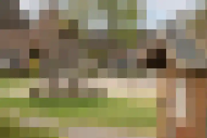 Van Maanenware 26 Zwolle thumbnail 37
