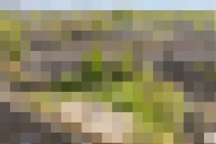 Van Maanenware 26 Zwolle thumbnail 39