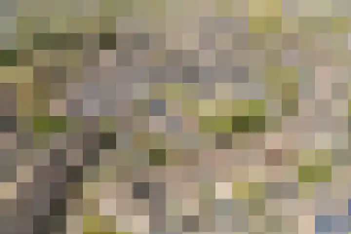 Van Maanenware 26 Zwolle thumbnail 41
