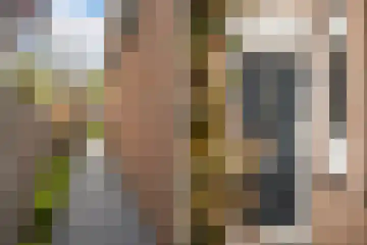 Van Maanenware 26 Zwolle thumbnail 5