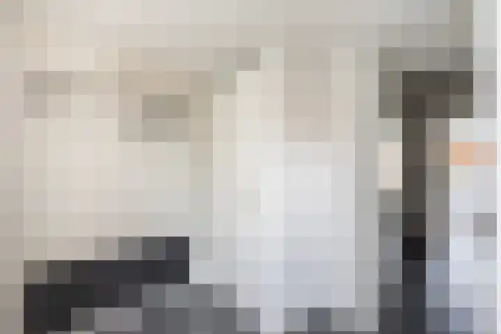 Van Maanenware 26 Zwolle thumbnail 8