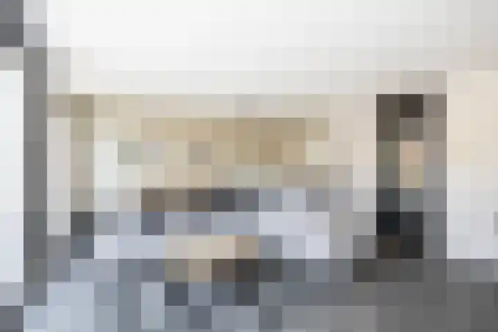 Van Maanenware 26 Zwolle thumbnail 9