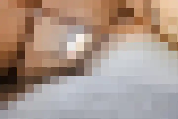 Van Maanenware 3 Zwolle thumbnail 17