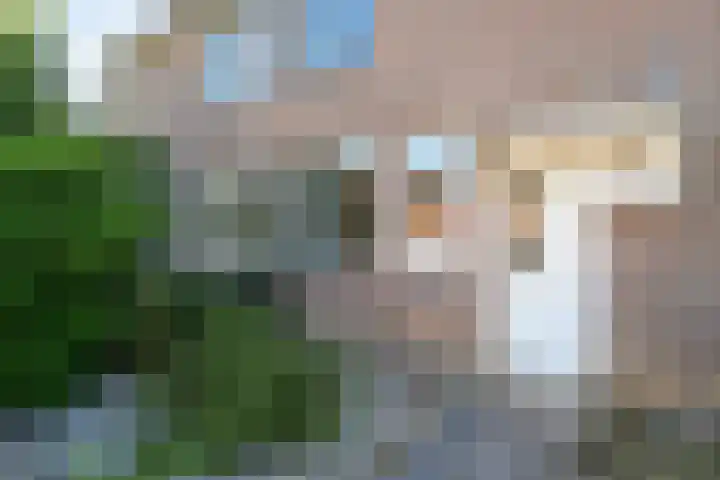 Van Maanenware 3 Zwolle thumbnail 26