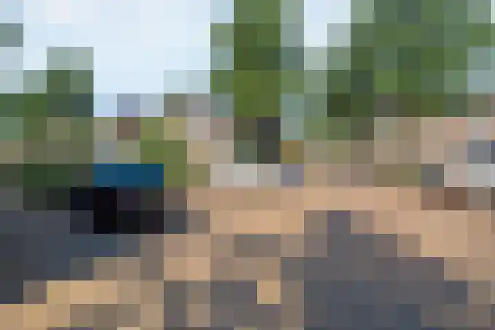Van Maanenware 3 Zwolle thumbnail 27