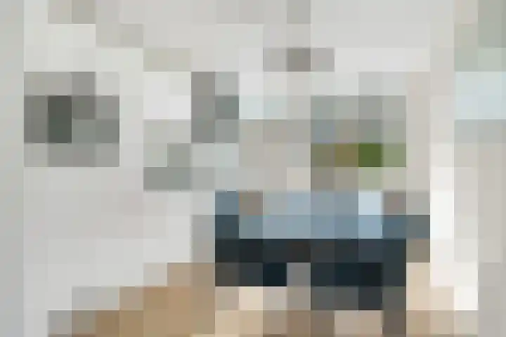 Van Maanenware 40 Zwolle thumbnail 10