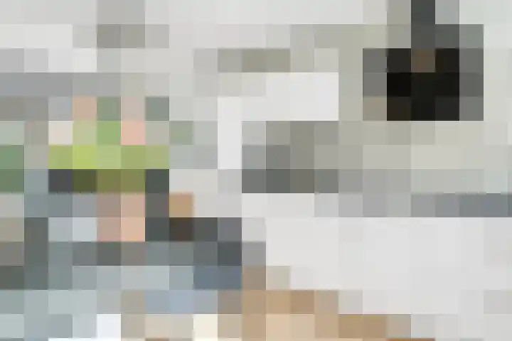Van Maanenware 40 Zwolle thumbnail 11