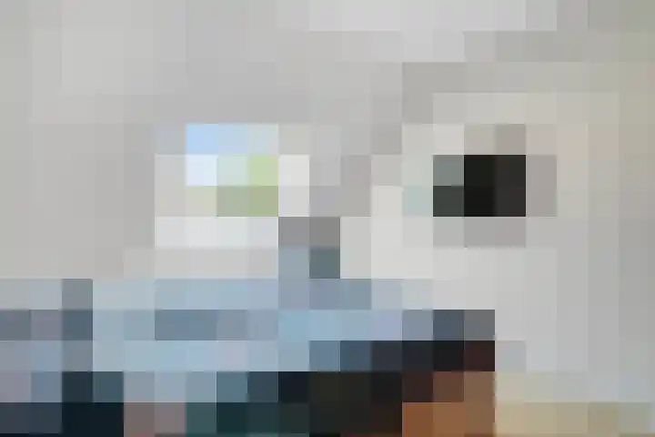 Van Maanenware 40 Zwolle thumbnail 16
