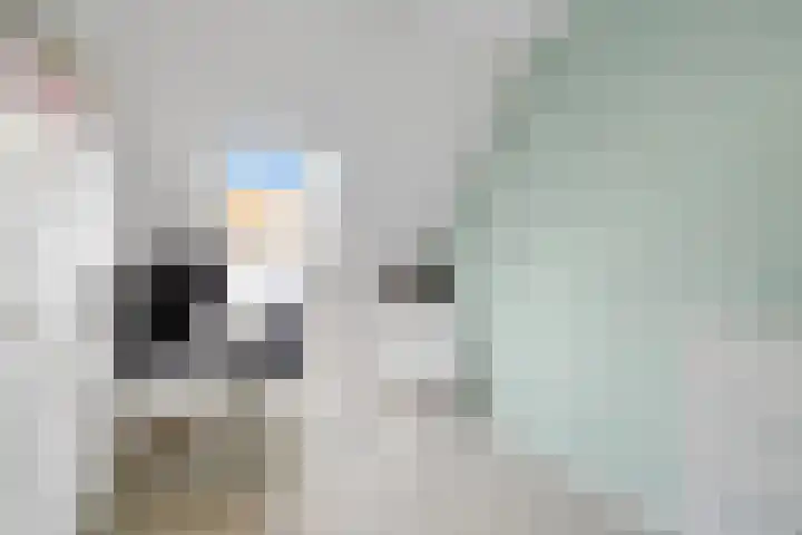 Van Maanenware 40 Zwolle thumbnail 18