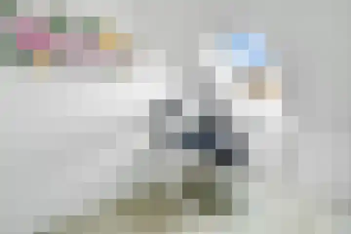 Van Maanenware 40 Zwolle thumbnail 19