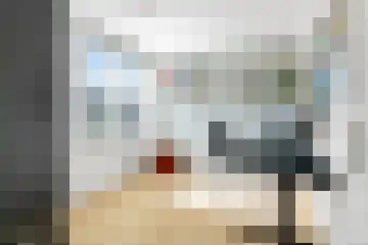 Van Maanenware 40 Zwolle thumbnail 22